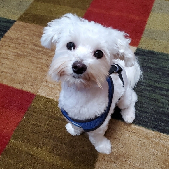 Meet your Posher, Jaime - Picture 16 of 16